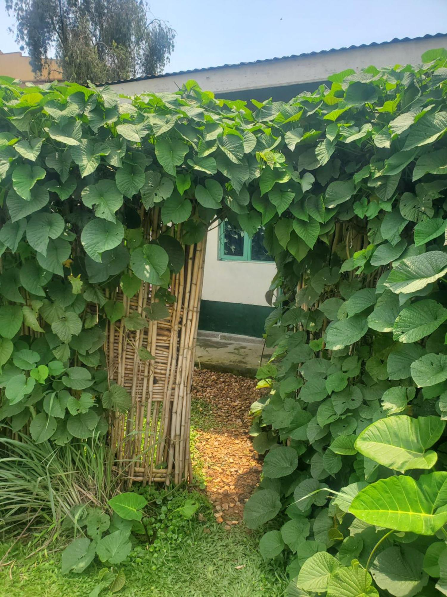 Gaia Eco Hub Bnb Fort Portal Zewnętrze zdjęcie