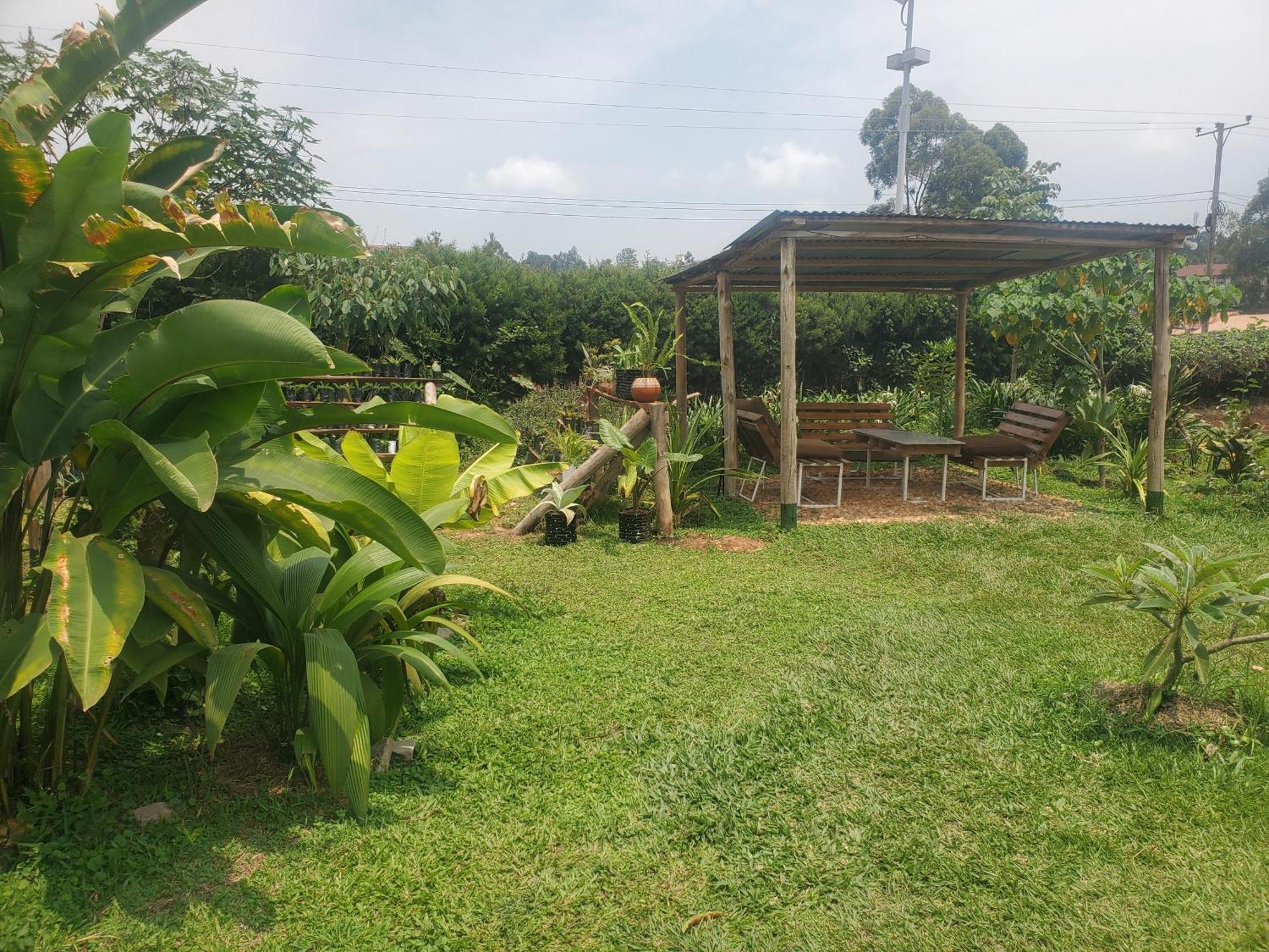 Gaia Eco Hub Bnb Fort Portal Zewnętrze zdjęcie