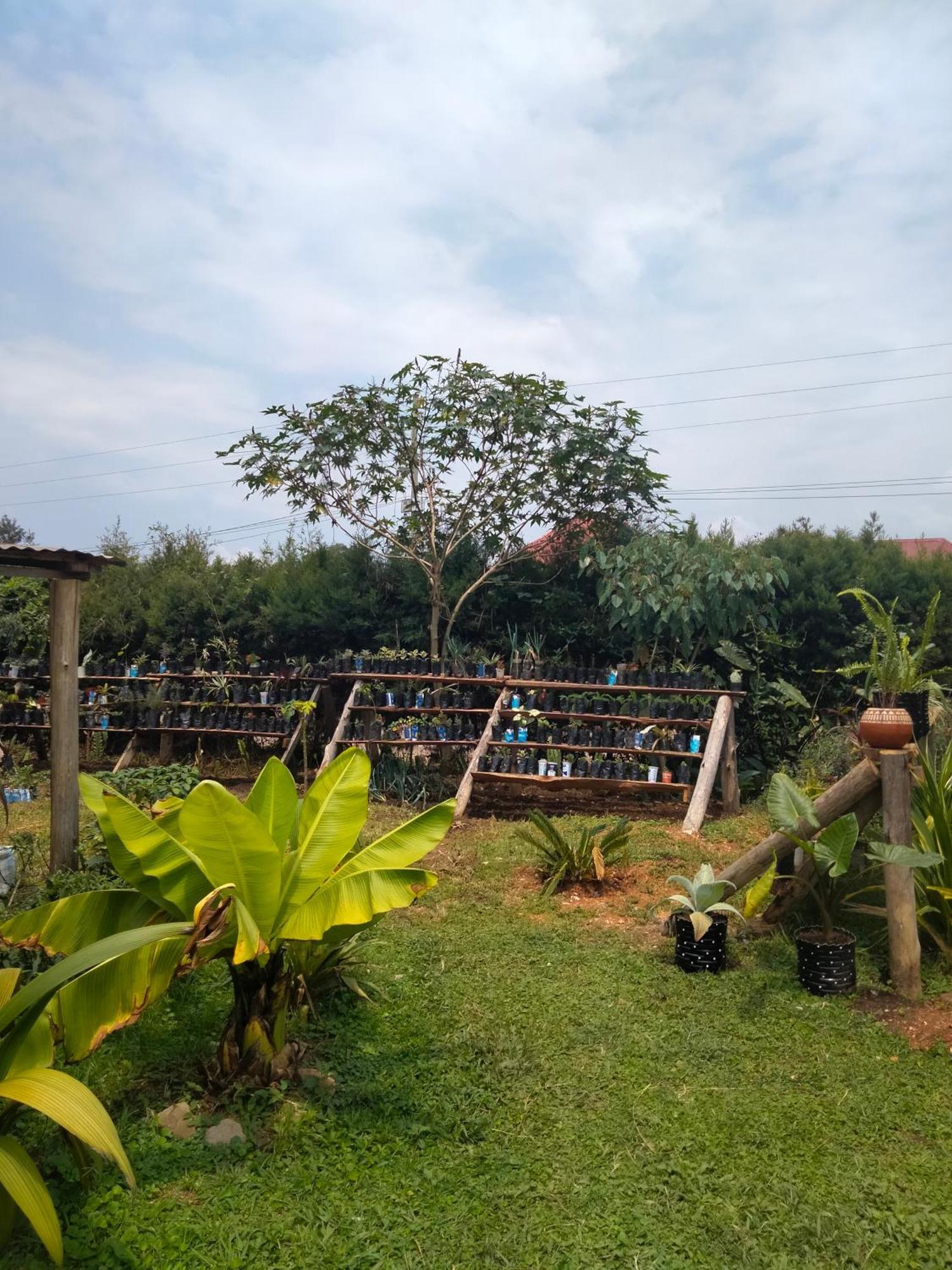 Gaia Eco Hub Bnb Fort Portal Zewnętrze zdjęcie