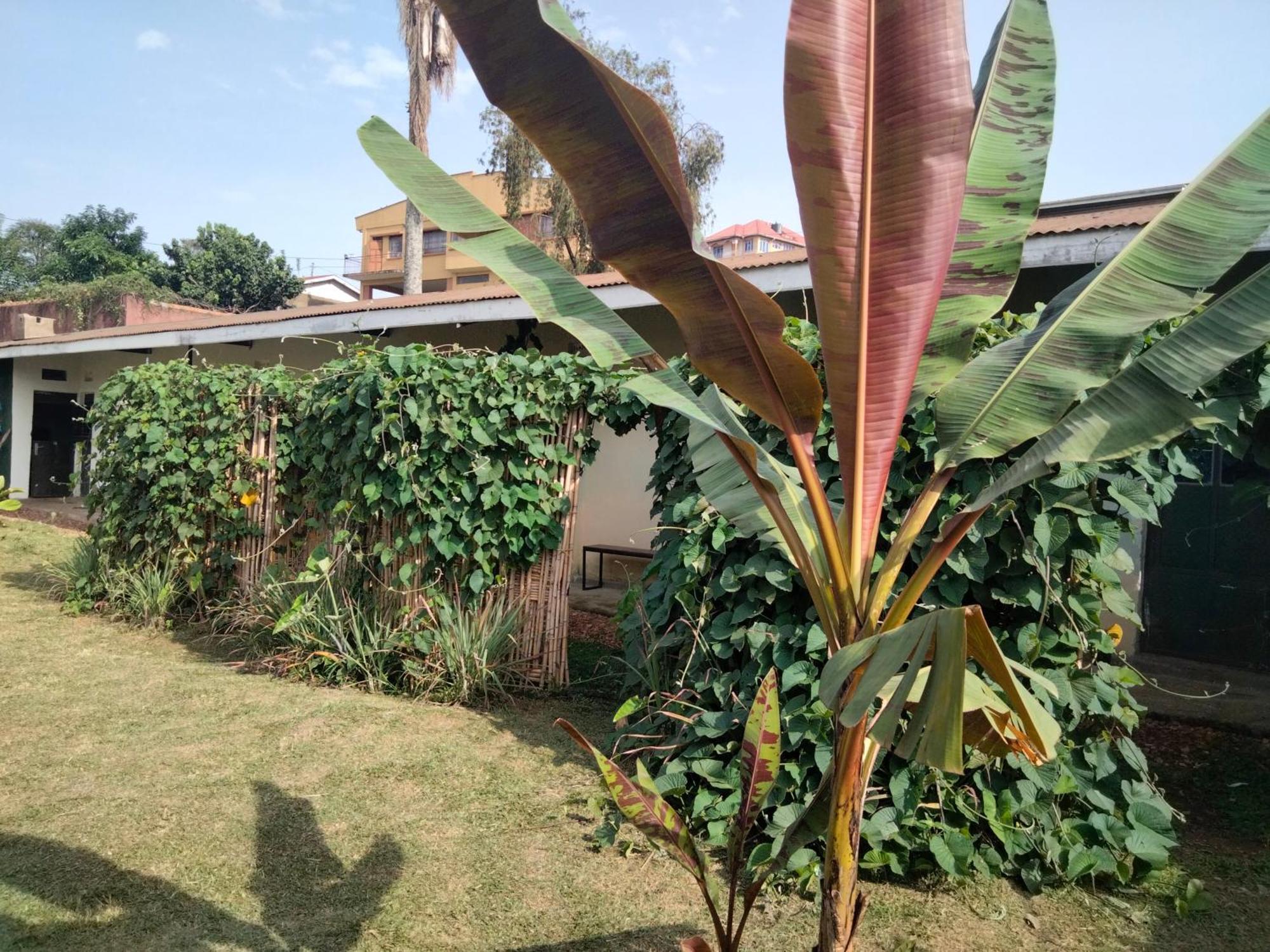 Gaia Eco Hub Bnb Fort Portal Zewnętrze zdjęcie