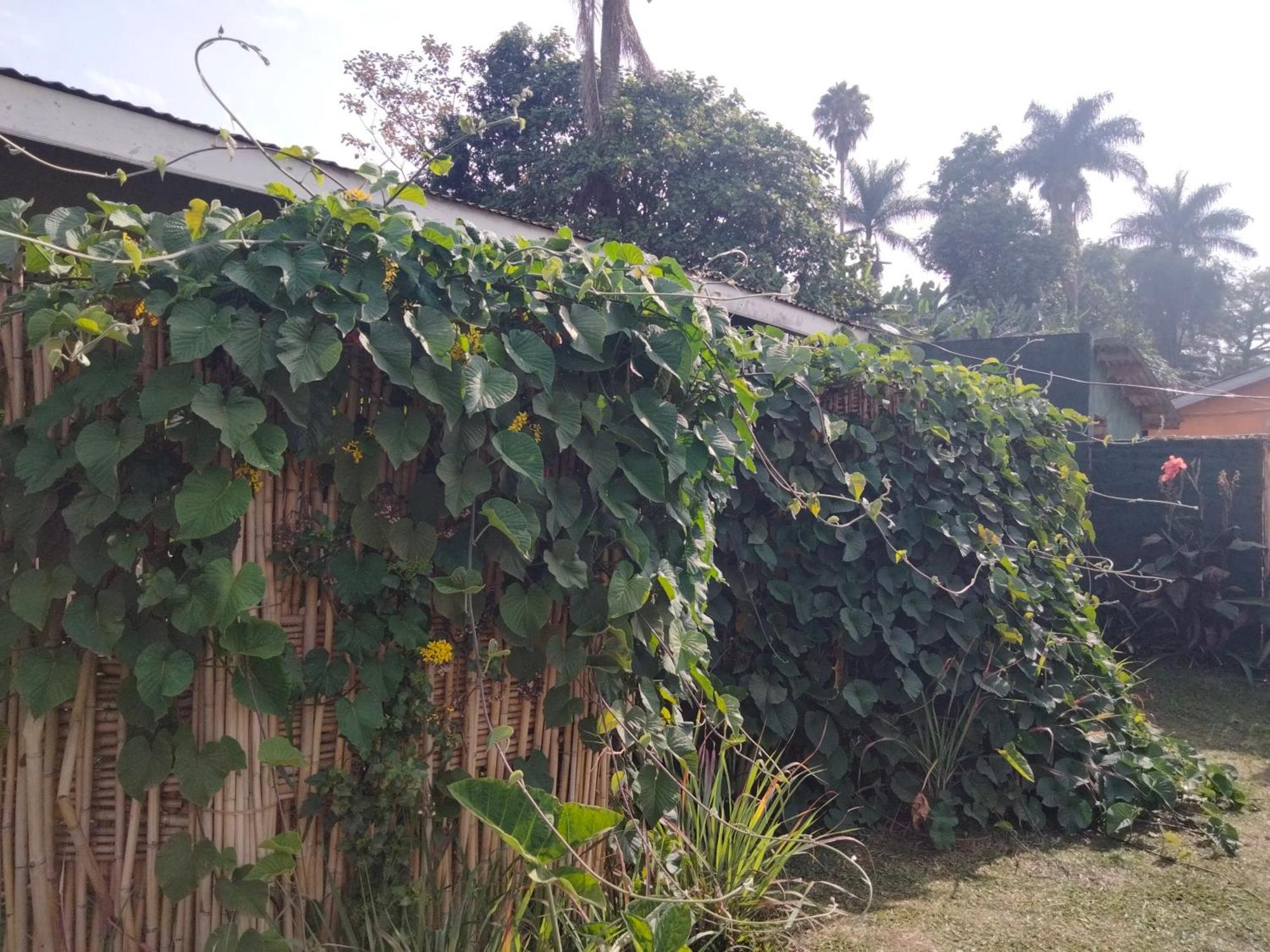 Gaia Eco Hub Bnb Fort Portal Zewnętrze zdjęcie